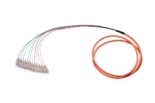Fiber Pigtail  SC 12 Strand 1G Multimode