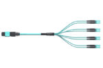 MTP Breakout Cables