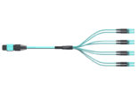 MTP Breakout Cables
