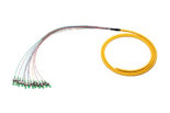 FC APC Fiber Pigtail 9/125 Single-mode 12 Fiber