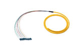 Fiber Pigtail LC 12 Strand 10G/100G Single-mode