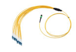 Single-mode Low Loss MTP Breakout Cable 48 Fiber MTP/LC (MTP Elite Harness) Connectors