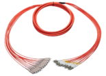 SC-LC Plenum Armored Breakout Cable 62.5/125 Multimode 12 Fiber