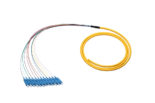12 Strand Fiber Pigtail Single-mode 9/125 SC APC Connectors