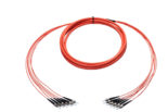 62.5/125 ST to ST 6 Strand Plenum Armored Fan-Out Fiber Cable OM1